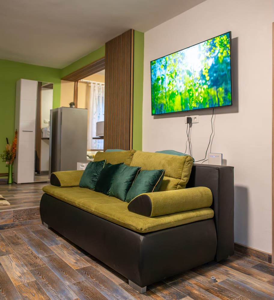 A modern living room with a soft couch and a TV, designed for comfort and enjoyable viewing experiences.